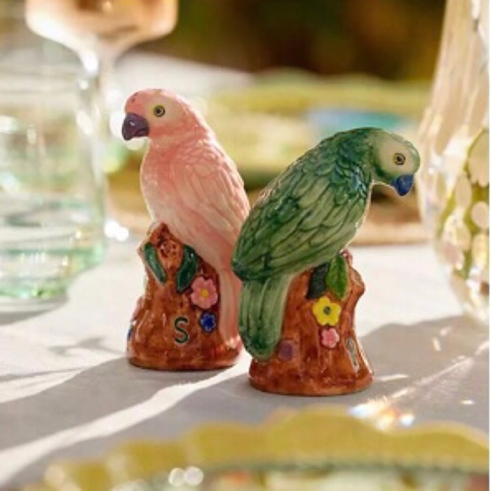 Anthropologie Handpainted Glazed Stoneware Salt and Pepper Shakers Birds NIB NWT